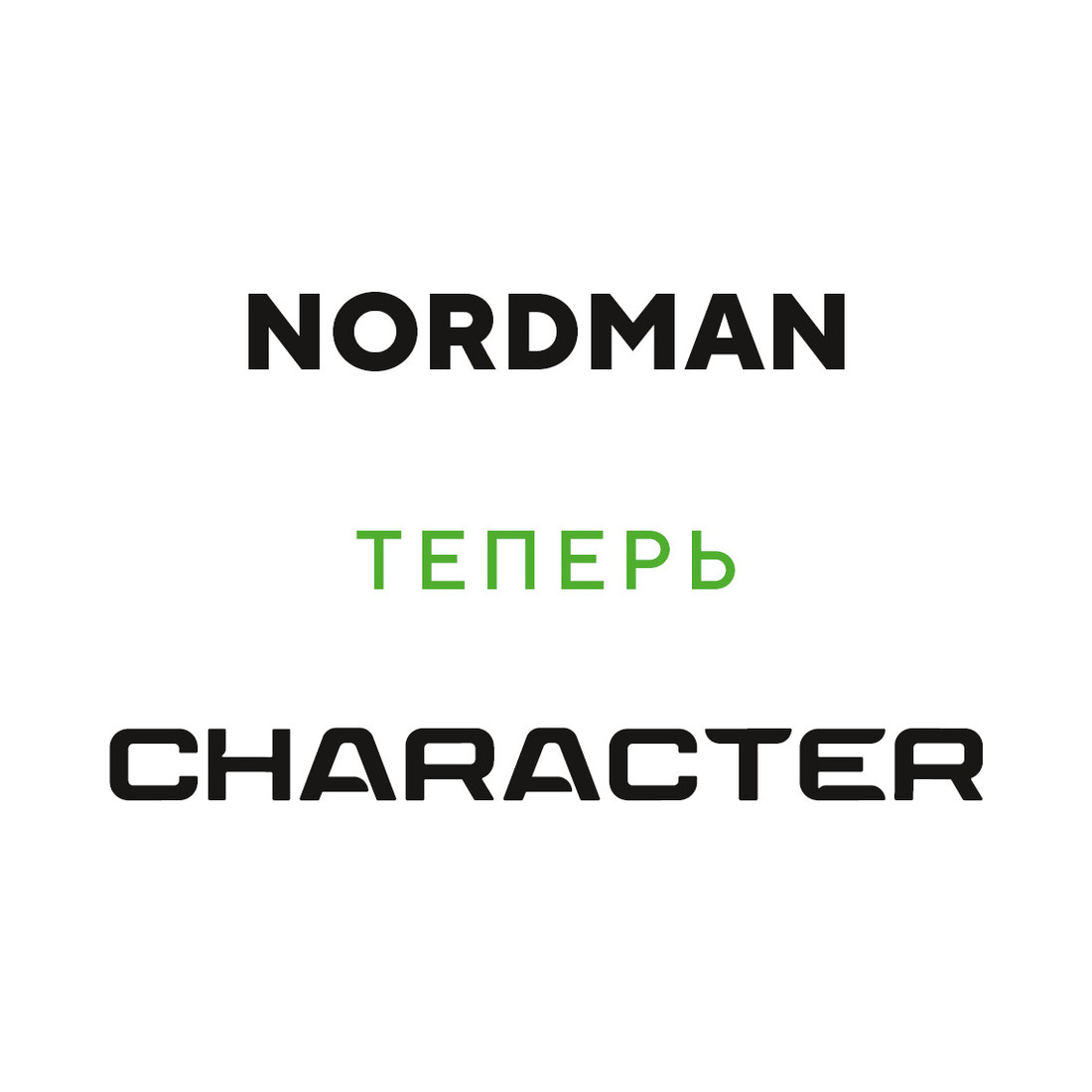 195/55  R15  Ikon (Nokian Tyres) Nordman SX3 (Character Eco) 89H XL Вид 2